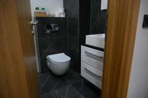 ズラティボールにあるApartman na brduのトイレと洗面台のあるバスルーム