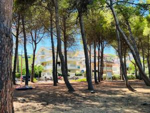 uma floresta de árvores com um edifício ao fundo em Beach apartments Spiaggia Nascosta em Silvi Marina