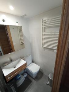 La salle de bains est pourvue de toilettes, d'un lavabo et d'un miroir. dans l'établissement Apartamento Selva Verde Panticosa Pistas, à Panticosa