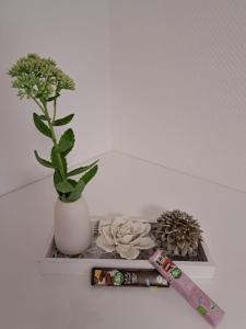 Fotografie z fotogalerie ubytování Apartment Q im Zentrum von Königsbronn v destinaci Königsbronn