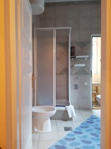 a bathroom with a toilet and a shower at Ada Apartments in Sarajevo