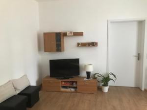 TV a/nebo společenská místnost v ubytování Rathsacks Familienhof