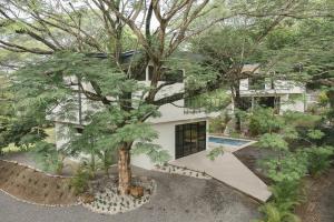 a house with a tree in front of it at Casa Arcilla NEW LISTING in Nosara