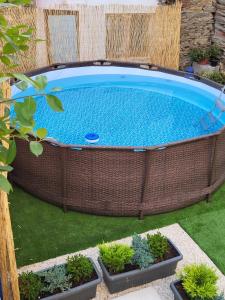 una gran piscina en un patio trasero con plantas en Villa Alva Guest House, en Coja