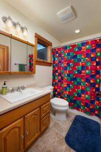 a bathroom with a toilet and a shower curtain at Adventures From Bozeman's Perfect Location in Bozeman