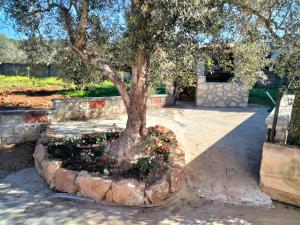 un arbre dans un cercle de pierre entouré de fleurs dans l'établissement SGM CASA VACANZE, à Masainas