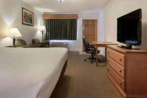 Habitación de hotel con cama y TV de pantalla plana. en SureStay Hotel by Best Western Leesville en Leesville