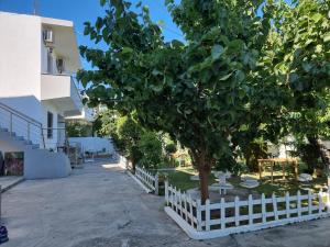 GUEST HOUSE VILA ELEZI外面的花园