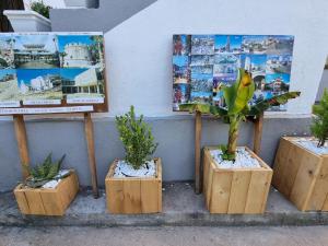 都拉斯GUEST HOUSE VILA ELEZI的相册照片