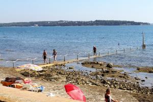 Fotografie z fotogalerie ubytování Apartment Novigrad 6979b v destinaci Novigrad – Istrie