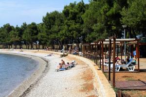 a group of people sitting on chairs on a beach at Apartments with a parking space Novigrad - 7037 in Novigrad Istria