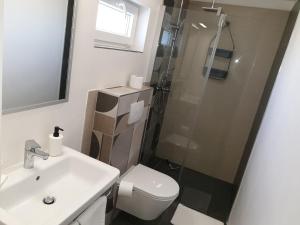 a bathroom with a toilet and a sink and a shower at Apartment Valbandon 7296b in Štinjan