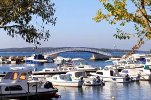 a bunch of boats docked in a harbor with a bridge at Apartment Valbandon 7296b in Štinjan