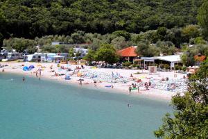 a group of people on a beach in the water at Apartment Vinez 7471a in Labin
