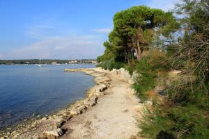 Fotografie z fotogalerie ubytování Apartments by the sea Dajla, Novigrad - 3382 v destinaci Novigrad – Istrie