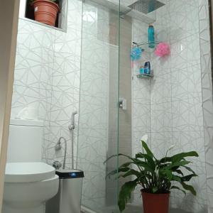 a bathroom with a shower with a toilet and a plant at DEPARTAMENTO RECAVARREN (SURQUILLO/MIRAFLORES) in Lima