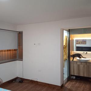 a living room with a dog walking in a window at DEPARTAMENTO RECAVARREN (SURQUILLO/MIRAFLORES) in Lima