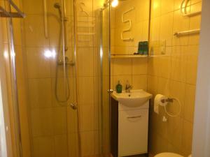 a bathroom with a shower and a sink and a toilet at Dom Mysliwski in Kobyłka