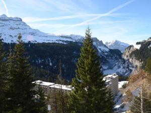 a view of a mountain with trees and a building at Appartement Flaine, 2 pièces, 6 personnes - FR-1-425-137 in Arâches-la-Frasse