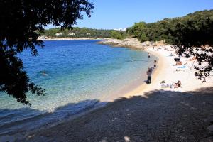 En strand vid eller i närheten av lägenheten