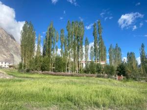 Imagen de la galería de Otsal guest house nubra, en Deskit 23 fotos más
