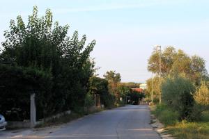 Príroda v okolí apartmánu