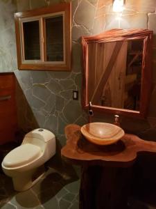 ein Badezimmer mit einem Waschbecken, einem WC und einem Spiegel in der Unterkunft Cabina Harlequin at Margarita Hills Farm in Cocles
