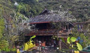 a house with a roof with plants in front of it at Fieu House in Lao Cai