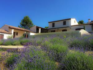 Vonkajšia záhrada v ubytovaní Luxury villa in Provence with a private pool