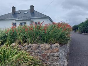 a house with red flowers in front of a stone wall at Ard an Phíobaire in Doirí Beaga