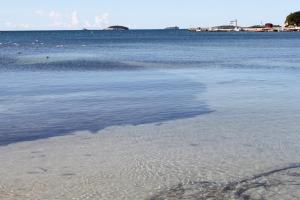 Fotografia z galérie ubytovania Apartments with a parking space Rovinj - 2298 v Rovinj