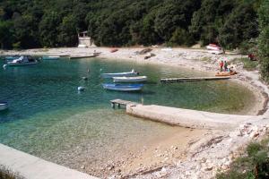 Fotografia z galérie ubytovania Family friendly apartments with a swimming pool Manjadvorci, Marcana - 2209 v destinácii Barban