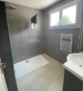 uma casa de banho com um chuveiro e um lavatório. em le Domaine de l’Etang em Oeuilly