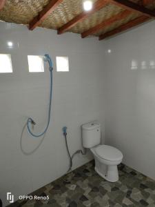 a bathroom with a toilet and a shower at Batur Water Park Villa in Bangli