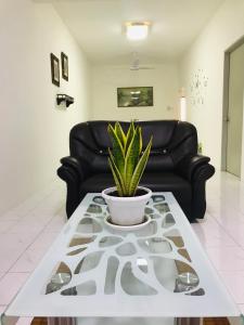 ein Wohnzimmer mit einem Tisch und einer Pflanze darauf in der Unterkunft Alyn Home Batu Pahat II Wifi Coway in Kampong Mohamad Noor