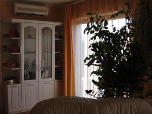 una sala de estar con una planta frente a una ventana en Ferienwohnung, en Hévíz