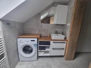 una pequeña cocina con lavadora y fregadero en Apartment Bajta - Rogla, en Zreče