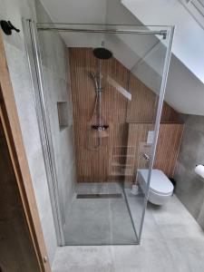 a shower stall in a bathroom with a toilet at Apartment Bajta - Rogla in Zreče