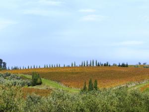Paesaggio naturale nelle vicinanze of country house