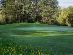 Golf pri penzióne alebo okolí + 17 fotografií