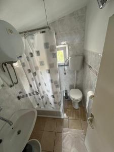 ein Bad mit einer Dusche, einem WC und einem Waschbecken in der Unterkunft Apartments Tea in Karlobag