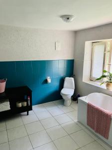 uma casa de banho azul com um WC e uma banheira em Domek na farmie em Sztum