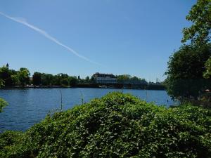 a large green bush on the side of a lake at Ferienwohnung Dahme Berlin am Wasser in Berlin