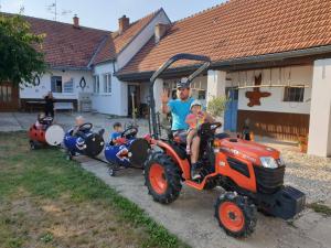 Fotografia z galérie ubytovania Rodinný penzion Mayer v destinácii Pouzdřany