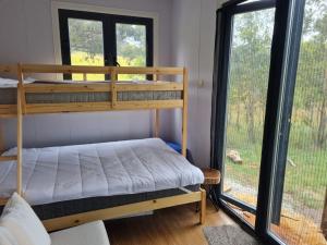 Tiny Home - Bluebird في Hartley: غرفة نوم مع سرير بطابقين ونوافذ كبيرة