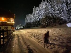 Appartamento al Tabià Pizal during the winter