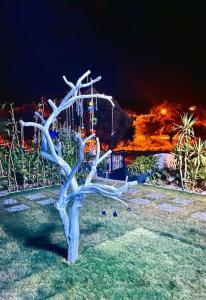 Fotografie z fotogalerie ubytování Merlin Apart Otel v destinaci Karaburun