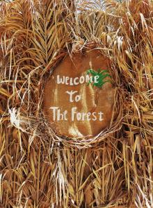 a welcome to the forest sign in the grass at Forest Camp Siwa - كامب الغابة in Siwa