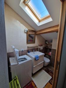 ein Bad mit einem Waschbecken und einem WC mit einem Dachfenster in der Unterkunft La maison du vigneron in Auzon