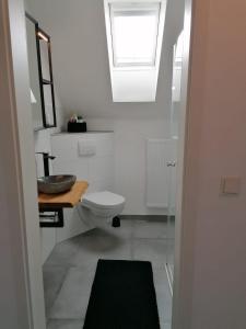 a bathroom with a toilet and a sink and a window at EIFELSTERN-Schöne Ferienwohnung mit Balkon in Kalenborn-Scheuern